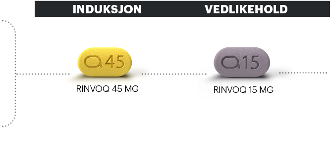 induksjon