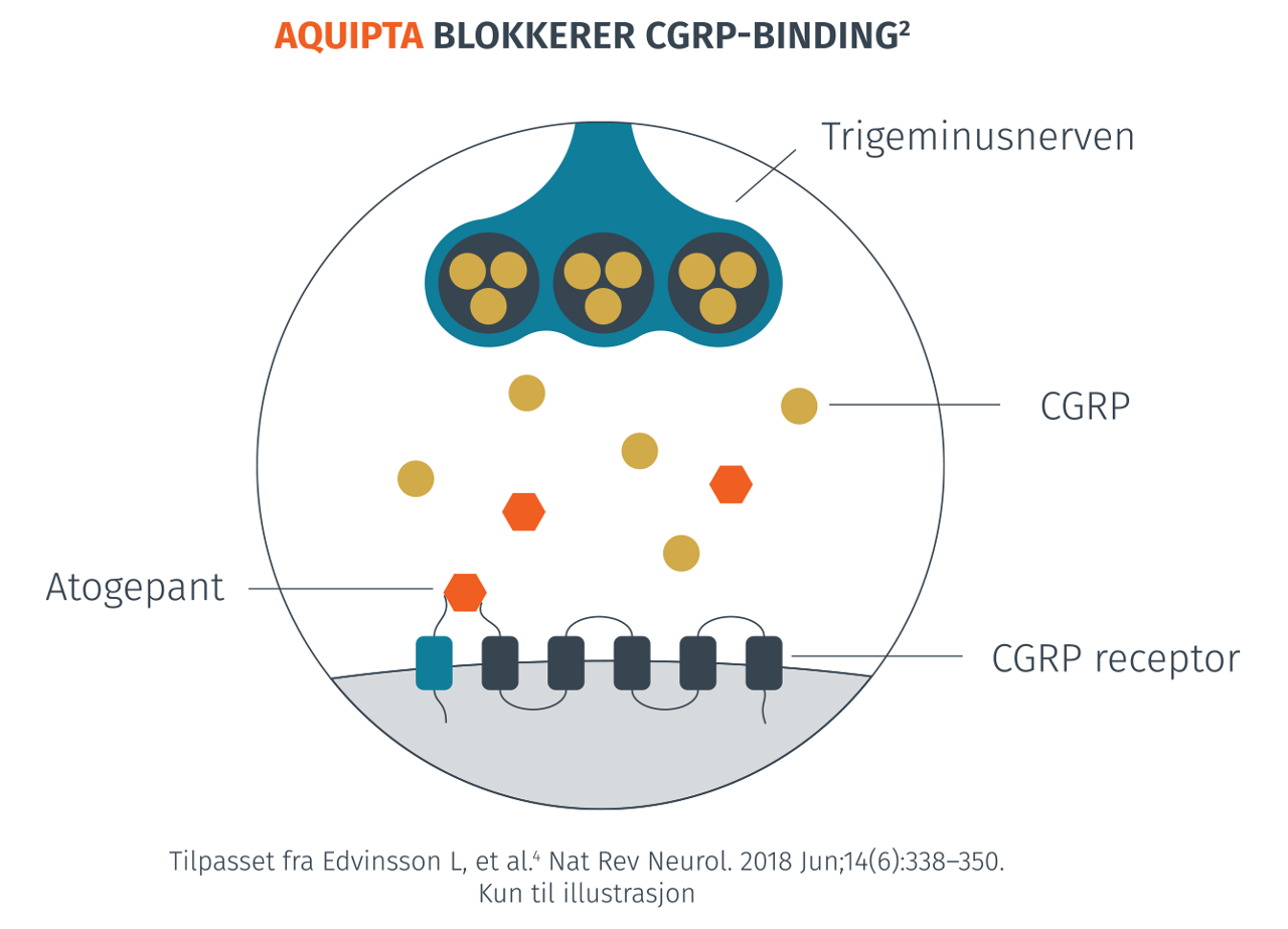 AQUIPTA blokkerar CGRP-BINDING